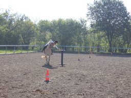 img_0250_web